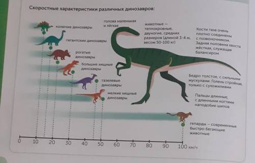 Без оформления краткой записи. Название динозавра и вычисление расстояния, которое он пройдёт.​