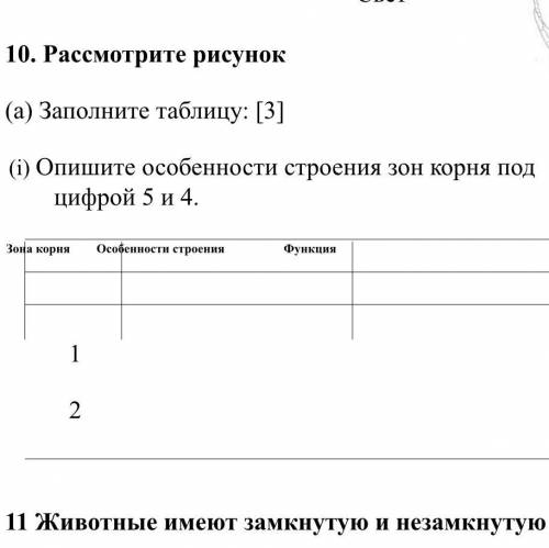 Рассмотрите рисунок (а) Заполните таблицу: [3] (i) Опишите особенности строения зон корня под цифрой