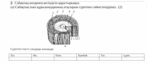 ПАмАгИтИ НУЖНО ПРЯМ СЕЙЧАС, СЕГОДНЯ НАДО СДАТЬ ЭТО СОР 2ДНЯ ОСТАЛОСЬ)