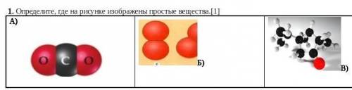 мне написать Сочь по естествознанию ​