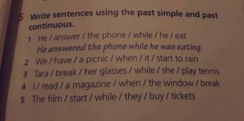 Write sentences using the past simple and past continious.