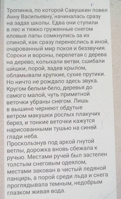 1. Укажите тему текста. А) Зимний лесB) Прогулка в зимний лесC) Мир покоя и беззвучияD) Дорога к руч