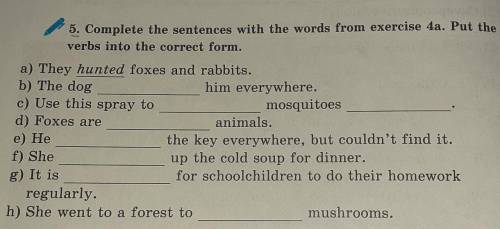 5. Complete the sentences with the words from exercise 4a. Put the verbs into the correct form Words