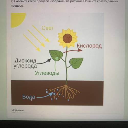 Назовите какой процесс изображен на рисунке. Опишите кратко данный процесс.