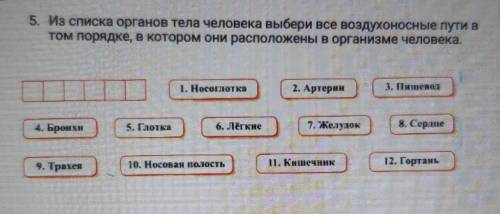 5. Из списка органов тела человека выбери все воздухоносные пути в том порядке, в котором они распол