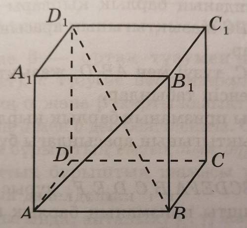 Найти угол между прямой АВ1 и плоскостью АВС в кубе ABCDA1B1C1D1​