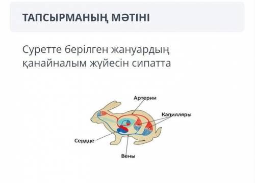 ПЕРЕВОД***описать кровеносную систему животного, изображенного на рисунке​