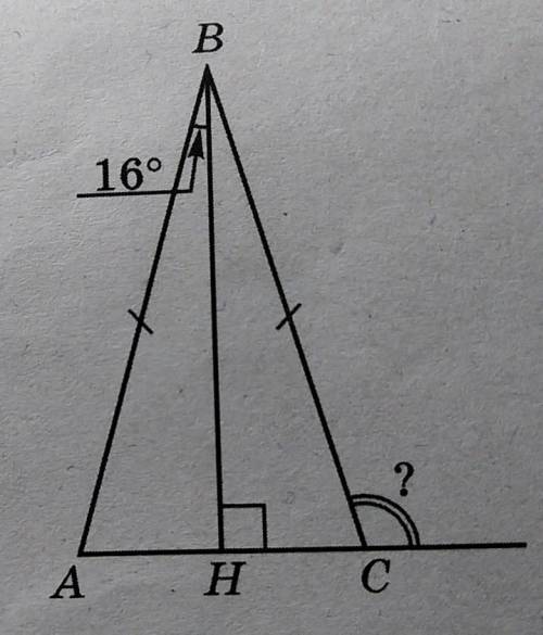 В равнобедренном треугольнике ABC с основание AC проведена высота BH, угол ABH равен 16°. Найдите гр