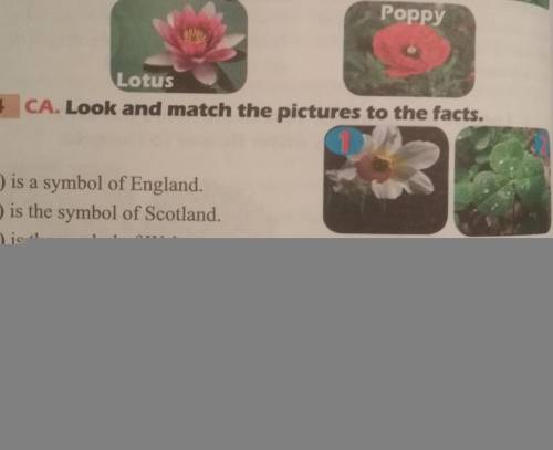 4 CA. Look and match the pictures to the facts. A) is a symbol of England.B) is the symbol of Scotla