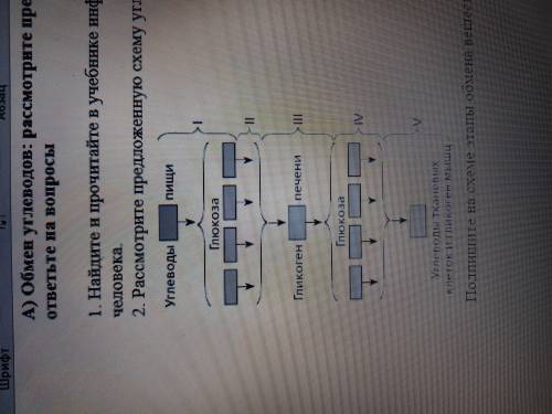 Биология Подпишите на схеме этапы обмена веществ: подготовительный, пластический, энергетический.