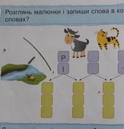 Розглянь малюнки і запиши слова в комірки. Що особливого в цих словах?​