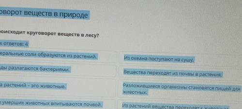 Круговорот веществ в природе Как происходит круговорот веществ в лесу?Верных ответов: 4Минеральные с