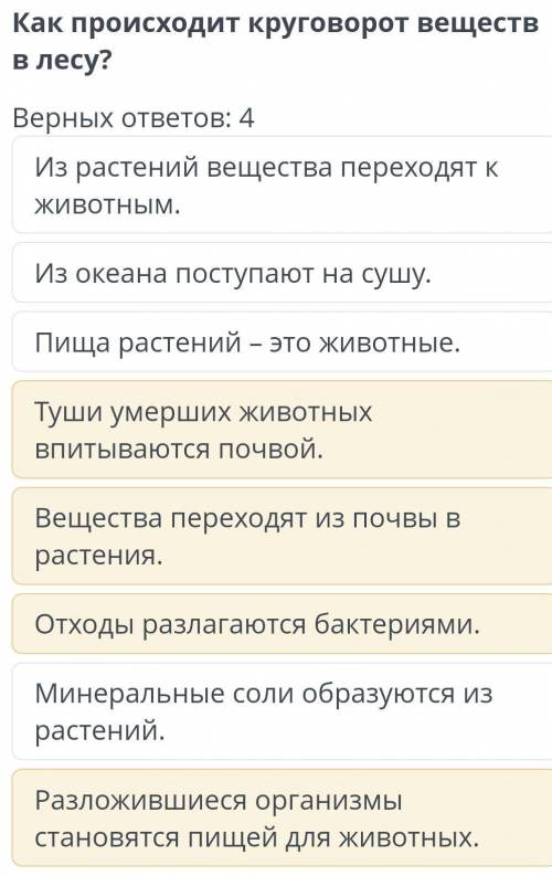 Круговорот веществ в природе Как происходит круговорот веществ в лесу?Верных ответов: 4Из растений в