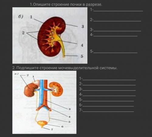 с биологией за правильный ответ ​