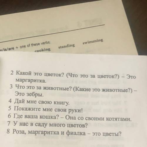 Англ класс (1 не влезло,1Шакал такой же серый ,как и волк)