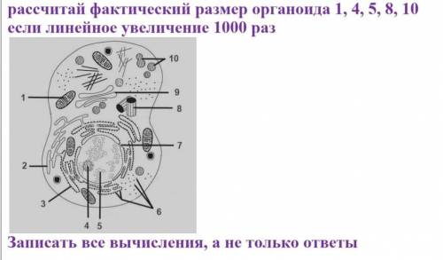 с биолгией за спам или ответы не по теме ,ПОДАМ ЖАЛОБУ!​