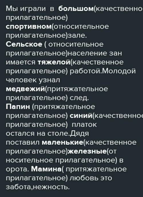 Текст с притяжательными прилагательными (4-6 предложения)