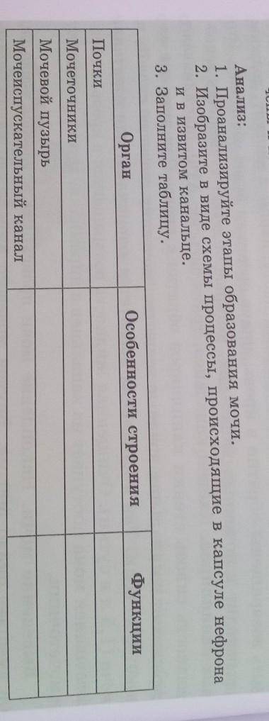 Анализ: 1. Проанализируйте этапы образования мочи.2. Изобразите в виде схемы процессы, происходящие