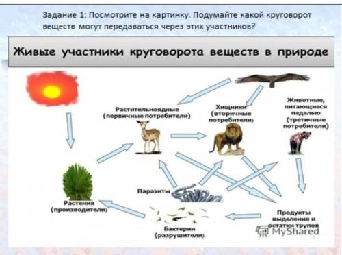 с меня подписка, лучший ответ, лайк и 5 звёзд​