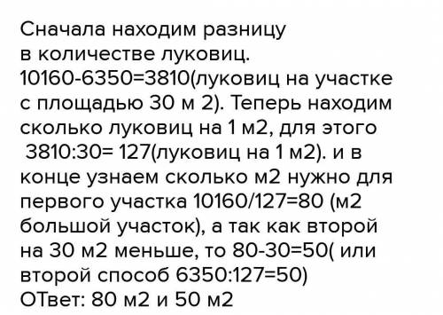 На двух участках высадили лукавицы тюльпанов. Один участок больше другого на 30 м 2, поэтому на нём