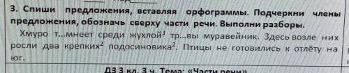 3. Спиши предложения, вставляя орфограммы. Подчеркни члены предложения, обозначь сверху части речи.