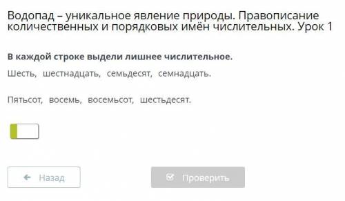 Водопад – уникальное явление природы. Правописание количественных и порядковых имён числительных. Ур