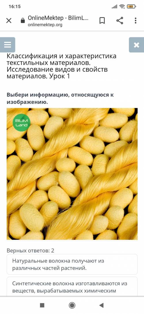 Выбери информацию, относящуюся к изображению. BILIM Land : Верных ответов: 2 Натуральные волокна пол