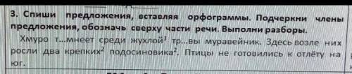 Спиши предложения, вставляя орфограммы. Подчеркни члены предложения, обозначь сверху части речи. Вып