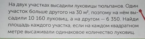 На двух участках высадили луковицы тюльпанов. Один участок больше другого на 30 м2, поэтому на нём в