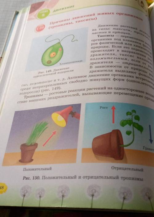 Классифицируйте таксисы (стр. 148 учебника) Классифицируйте настии по приложению (см.ниже и использу