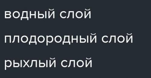 Обозначь слова характеризующие почву Верных ответов 4 Слой газа Плодородный слой Растут растения П