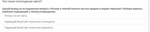 Сделай вывод по исследованию вопроса «Почему в тёмной комнате мы все предметы видим чёрными?» Выбери