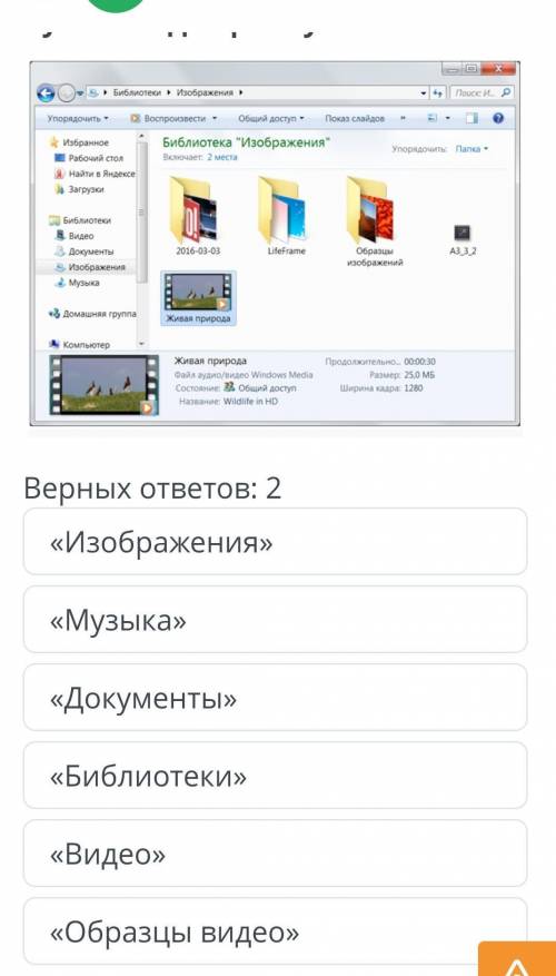 Видеозапись. Урок 1 Верных ответов: 2«Изображения»«Музыка»«Документы»«Библиотеки»«Видео»«Образцы вид