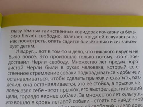 Сделайте легкий текст для перессказа произведения Белая радуга. До предложения Внизу в невидимых гла