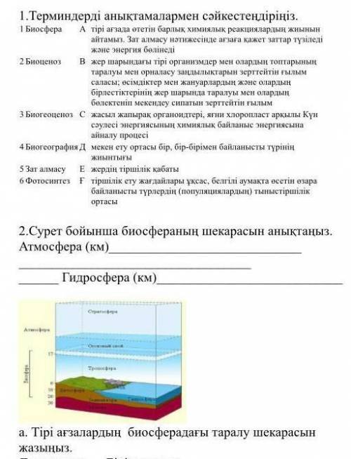 можете со всеми заданиями буду блогодарен​