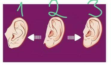 1.-? 2.-? 3.-? Варианты:- Свободно висящая мочка уха- Частично прилегающая- Прилегающая к голове​