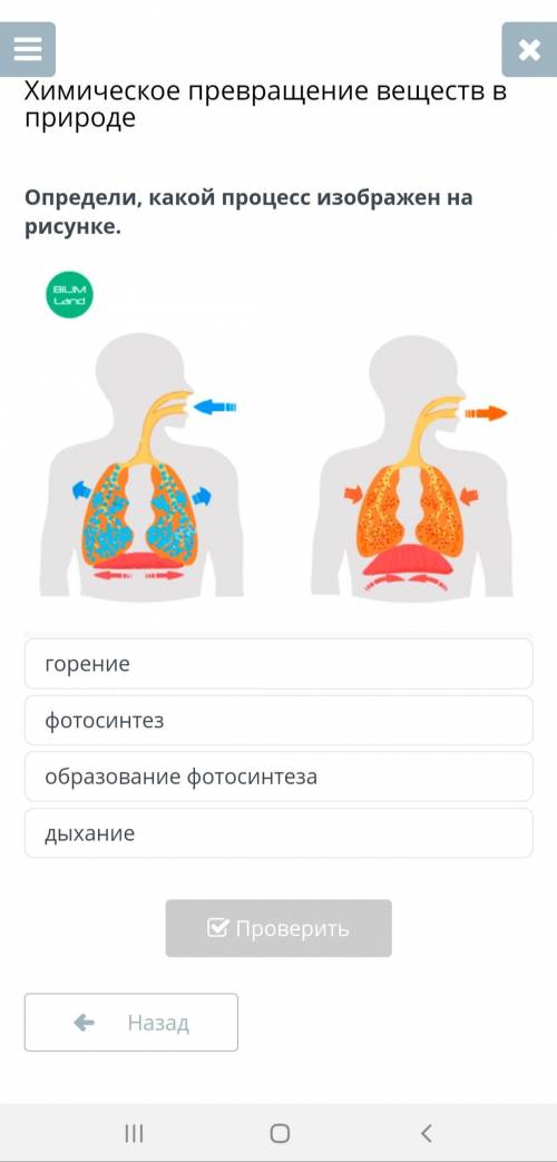 Определи, какой процесс изображен на рисунке.