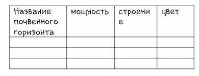 Определить почвенные горизонты профиля и как они обозначаются. Для понимания того, как формируется п