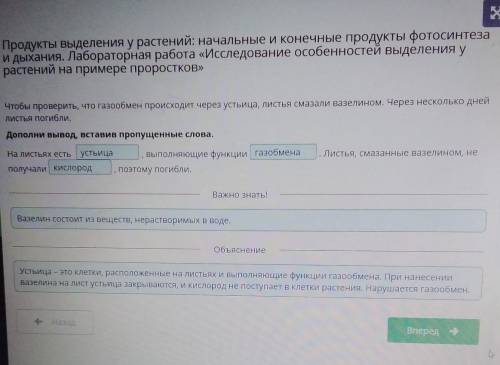 Вот берите ответ биология 7 класс Дополни вывод, вставив пропущенные слова на листьях есть , выполня