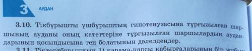 3.10. Тікбұрышты үшбұрыштың гипотенузасына тұрғызылған шар- шының ауданы оның катеттеріне тұрғызылға