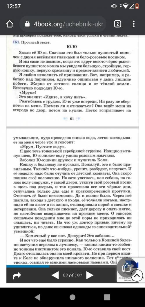 Написать склонение: склонение 1, склонение 2, склонение 3.Вот текст