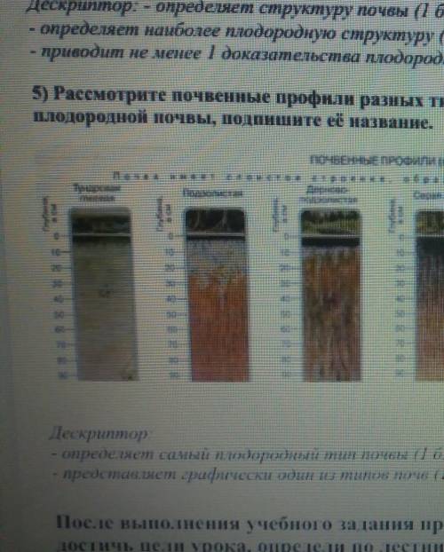 Рассмотрите почвенные профили разных типов почв Нарисуйте в тетради профиль самые плодородные почвы