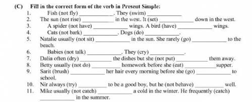 Fill in the correct form of the verb in Present Simple