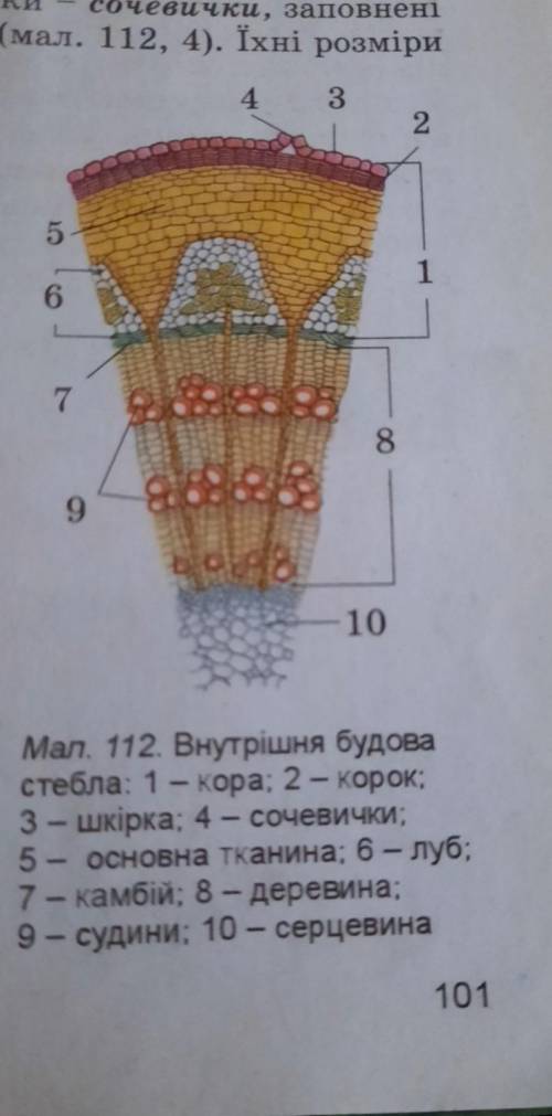 ПЕРЕСОВАТЬ В ОБЫЧНЫЙ ЗОШИТ И ПОЗНАЧИТЬ ГДЕ ЧТО НАХОДИТЬСЯ ВМЯ ИНФОРМАЦИЯ НА ФОТО ЗАРАНИЕ