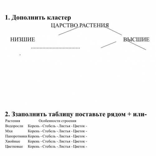 Класс 5 Краеведение Выполните задания Флора, героиня мультфильма Принцессы Винкс, а что означает сло