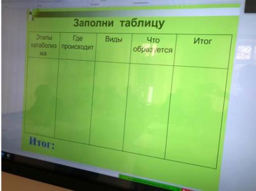 Заполнить таблицу по этапам энергетического обмена. 9кл