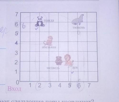 Первое число пары координат, показывающей место одного из животных, совпадает со вторым числом пары