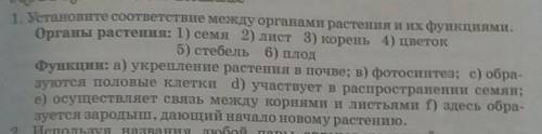 Установите соответствие между органами растения и их функциями​