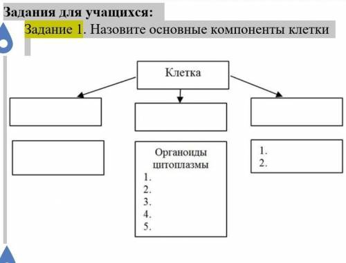 Задания для учащихся: Задание 1. Назовите основные компоненты клетки   ​