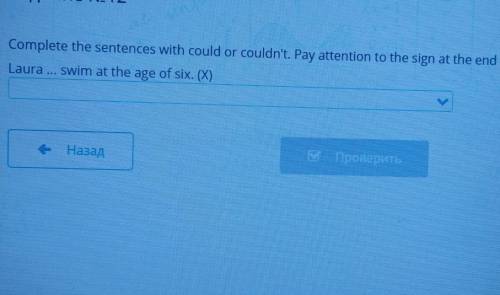 Complete the sentences with could or couldn't. Pay attention to the sign at the end of each sentence